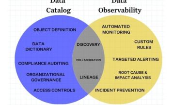 data observability vs data catalog