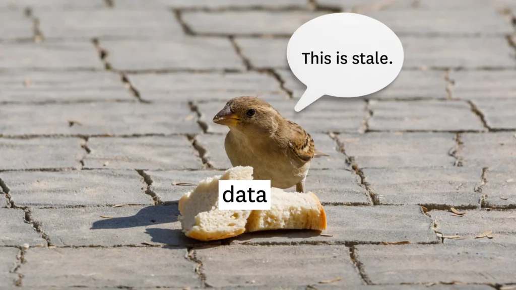 Stale Data Explained: Why It Kills Data-Driven Organizations