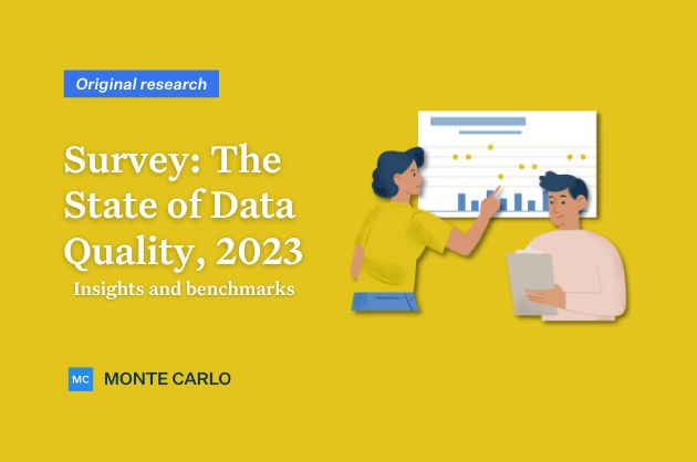 Data Quality Survey 2023