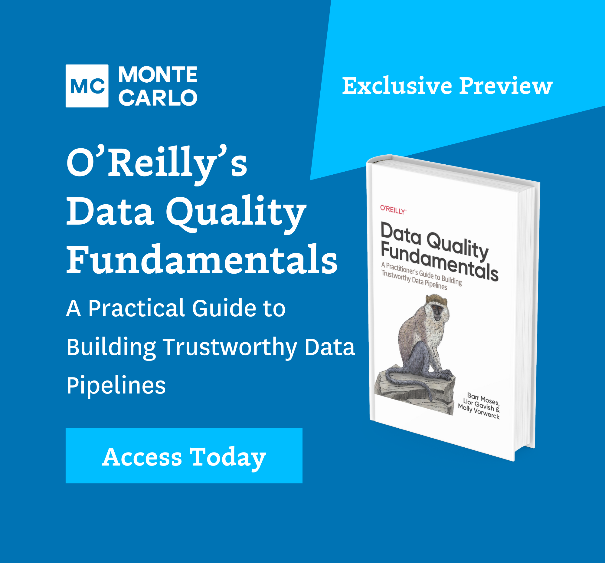 Exclusive Preview: O’Reilly Data Quality Fundamentals