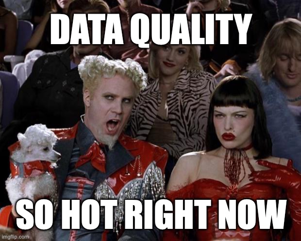 Data observability category leader meme.